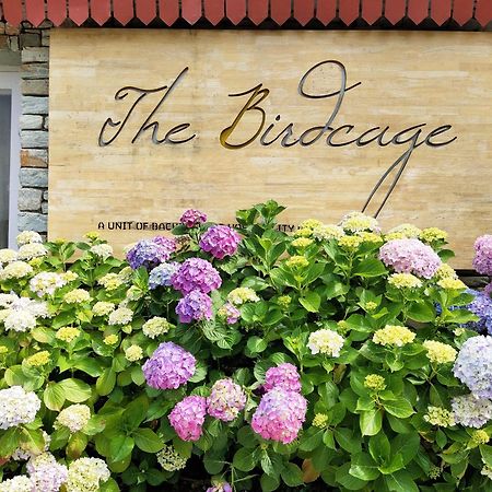 Готель The Birdcage, Мукетсвар Екстер'єр фото
